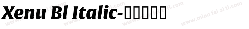 Xenu Bl Italic字体转换